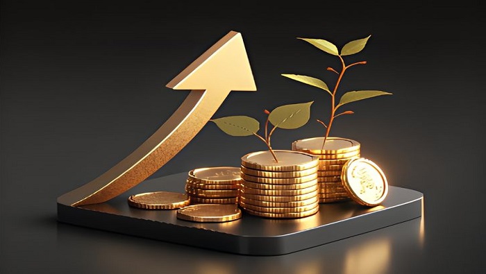 Banque et Microfinance